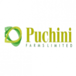 puchinifarm_logo-150x150